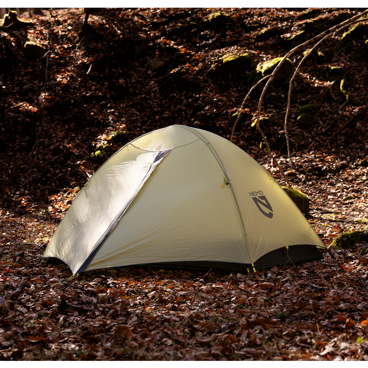 【再入荷時期未定】Tani Osmo 2P