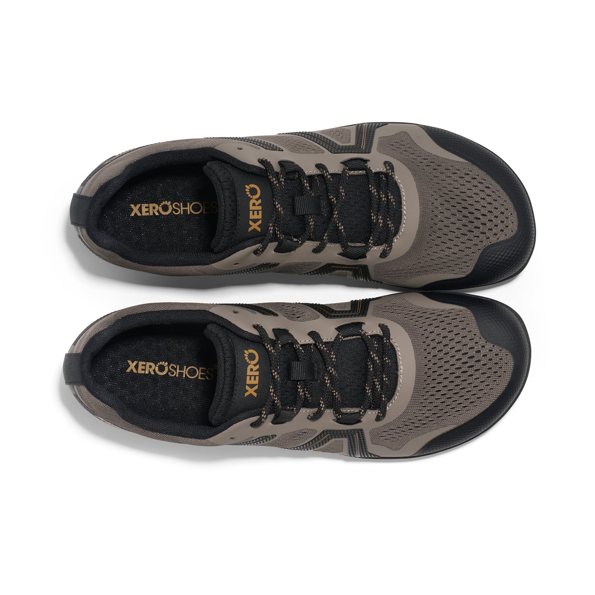 Mesa Trail 2 Men's ※サイズ交換片道無料