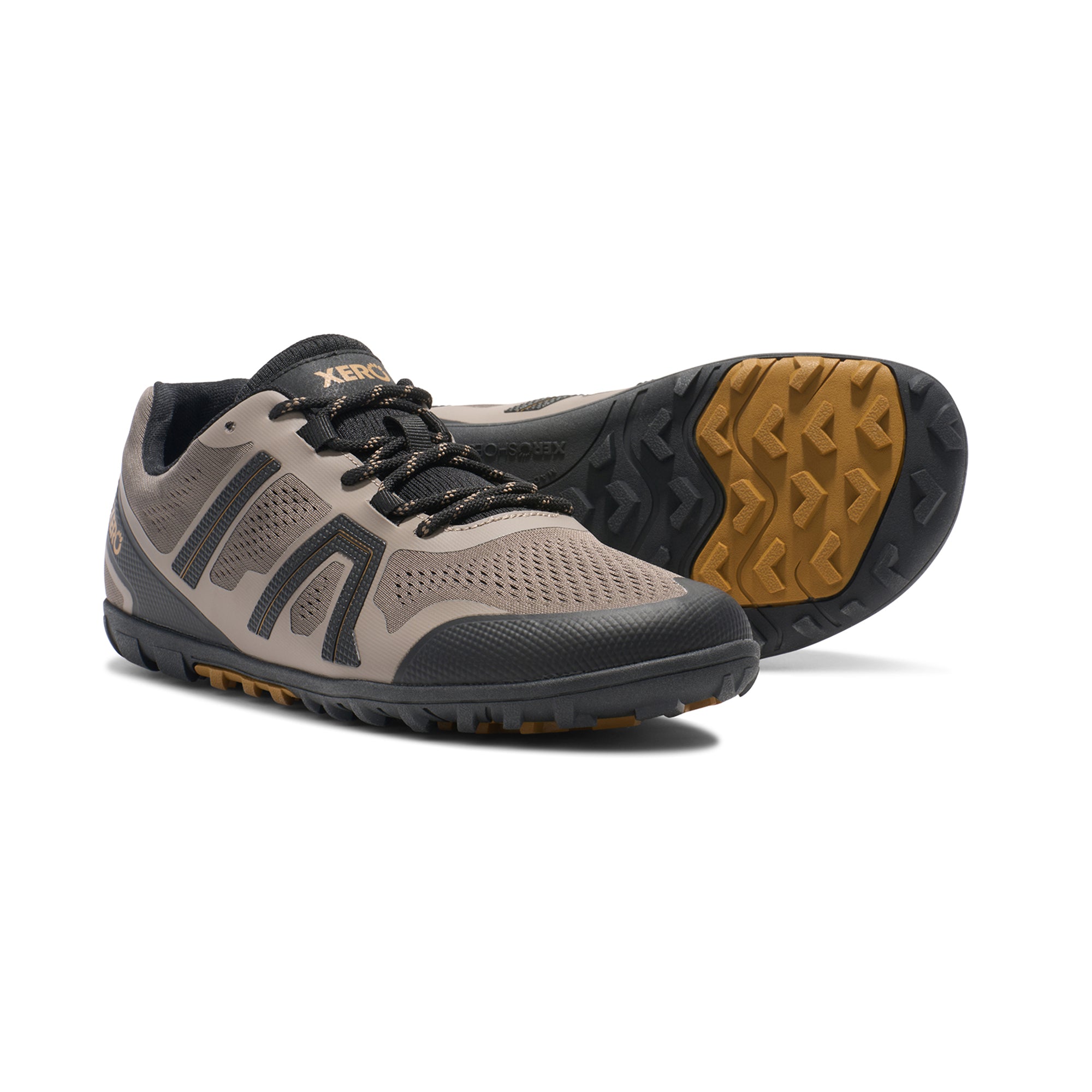 Mesa Trail 2 Men's ※サイズ交換片道無料