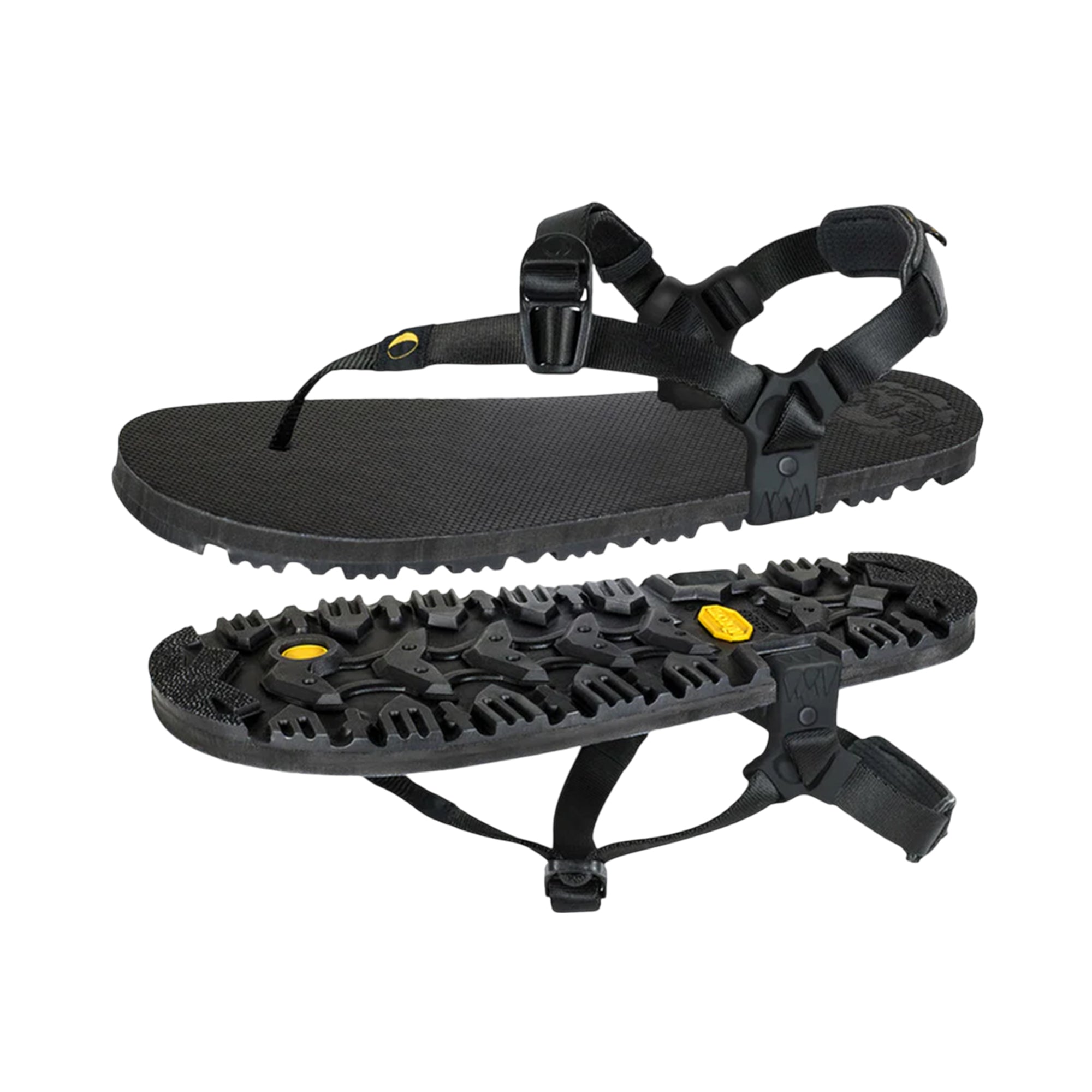 Middle Bear Winged Edition ※サイズ交換片道無料