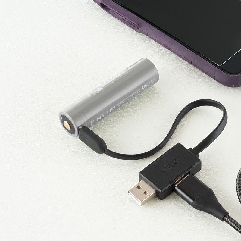 Milestone Milstone MS-LB3