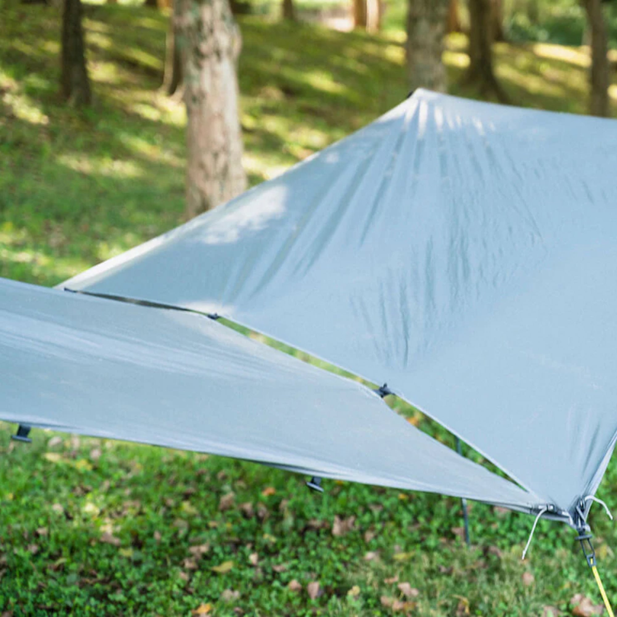 bago Works ninjatarp