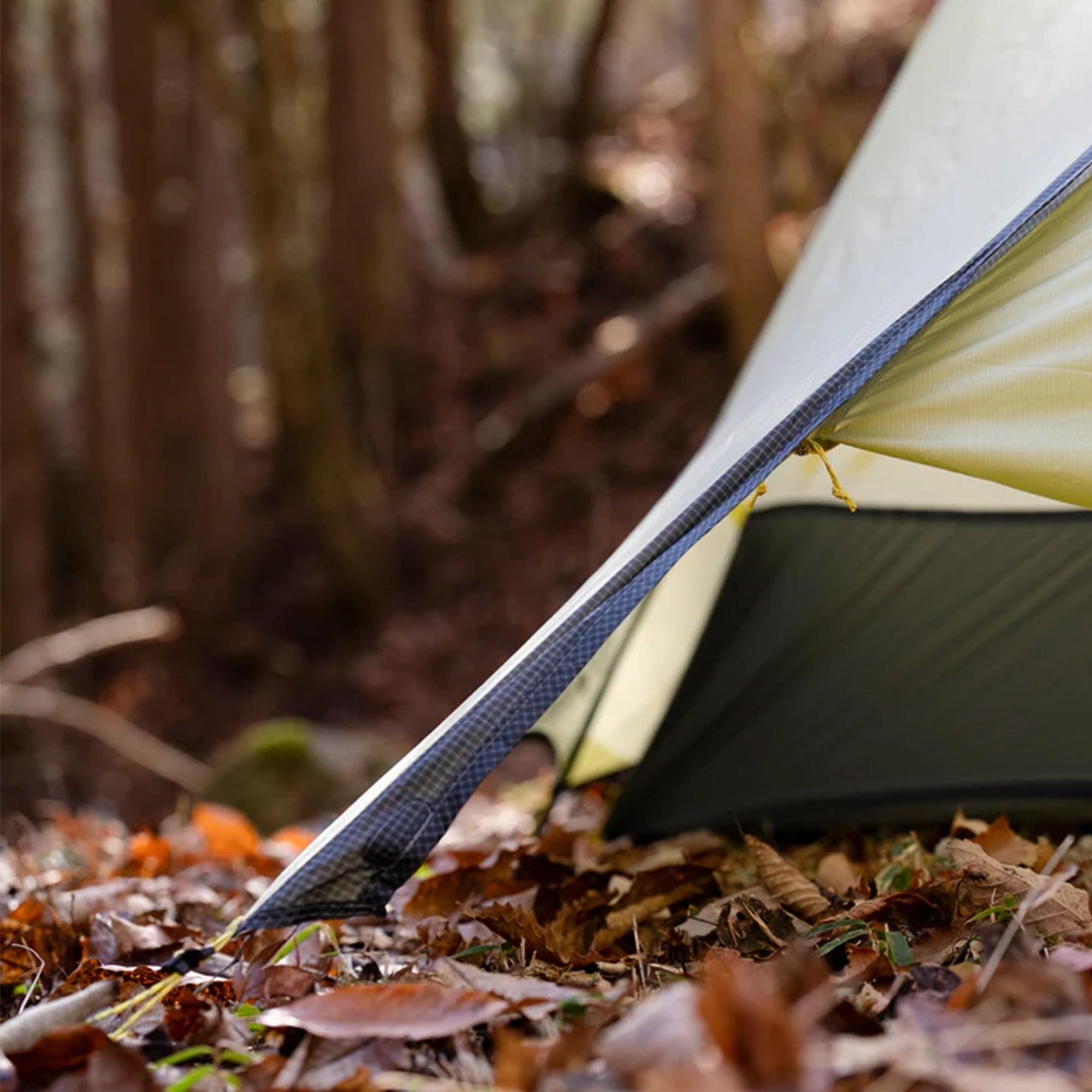 【再入荷時期未定】Tani Osmo 2P