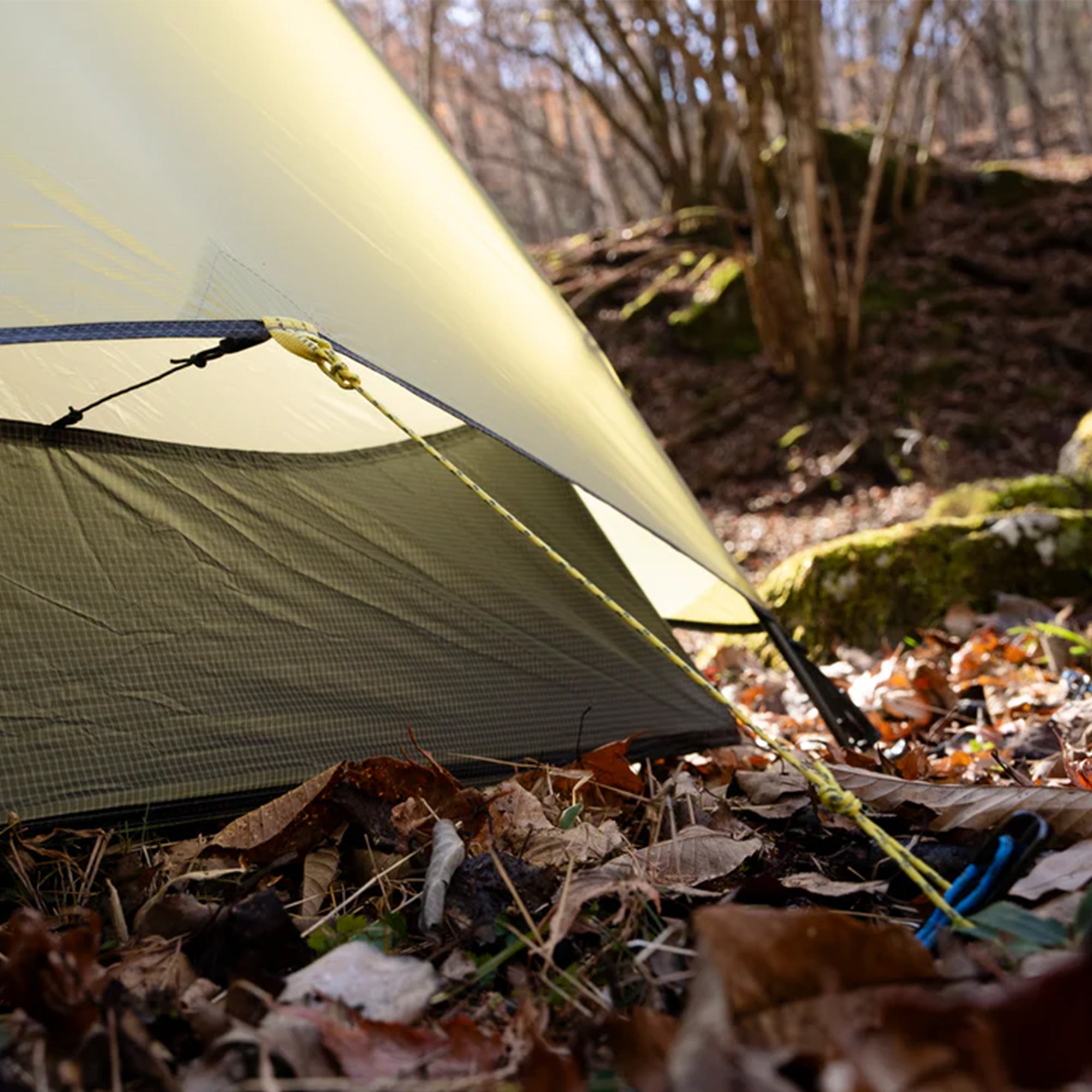 【再入荷時期未定】Tani Osmo 2P