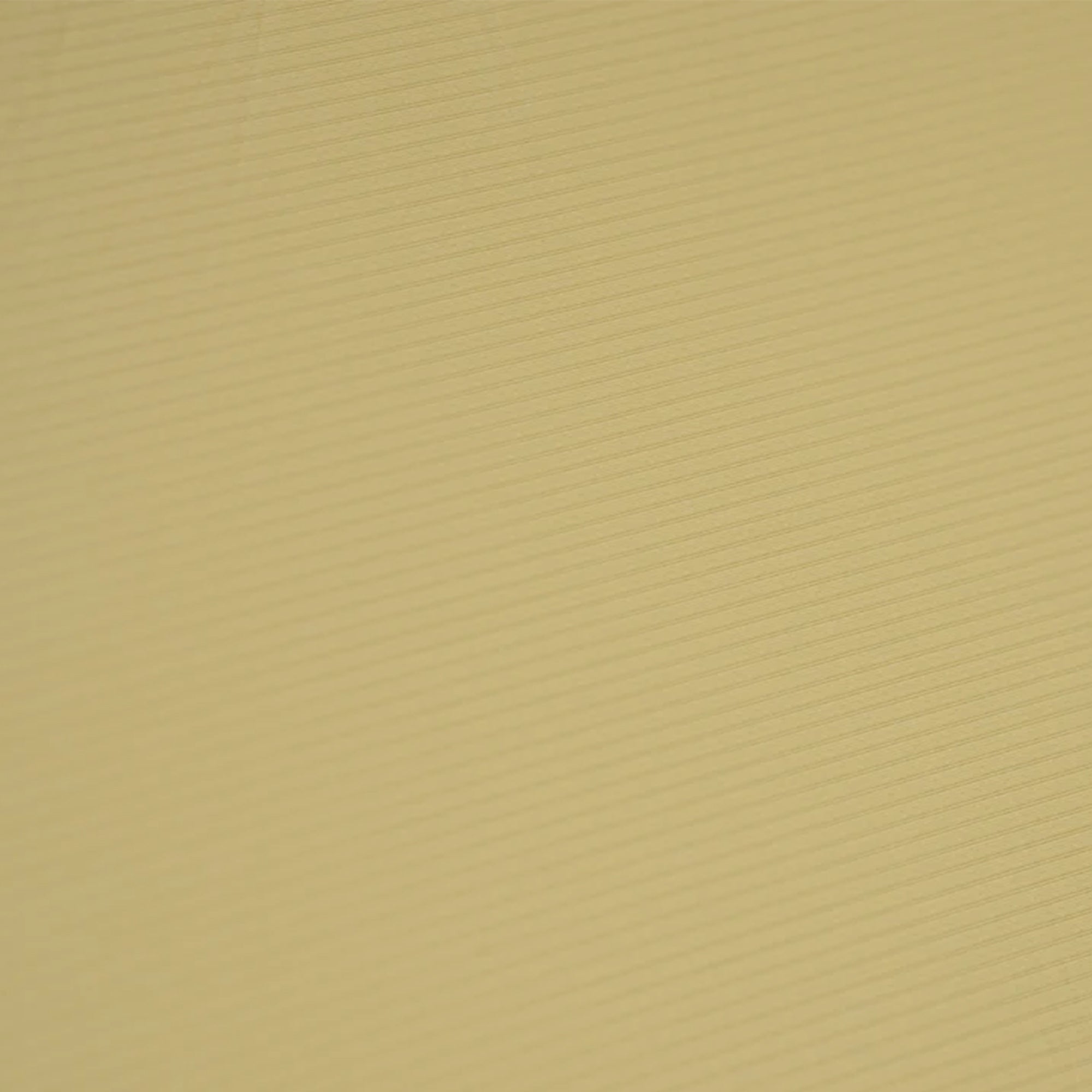 【再入荷時期未定】Tani Osmo 2P