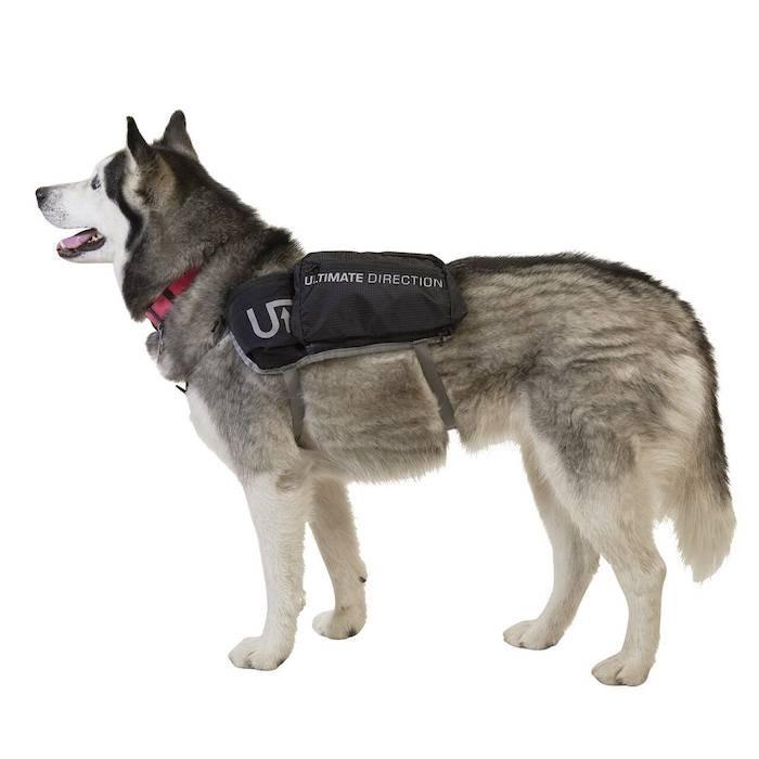 ドッグベスト DOG VEST [ULTIMATE DIRECTION アルティメイトディレクション] - STRIDE LAB ONLINE STORE（ストライド ラボ）