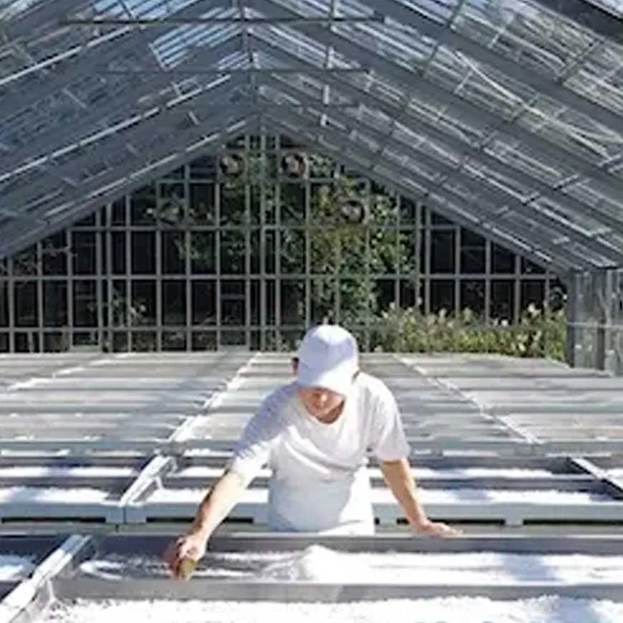 海塩 ※返品交換不可商品