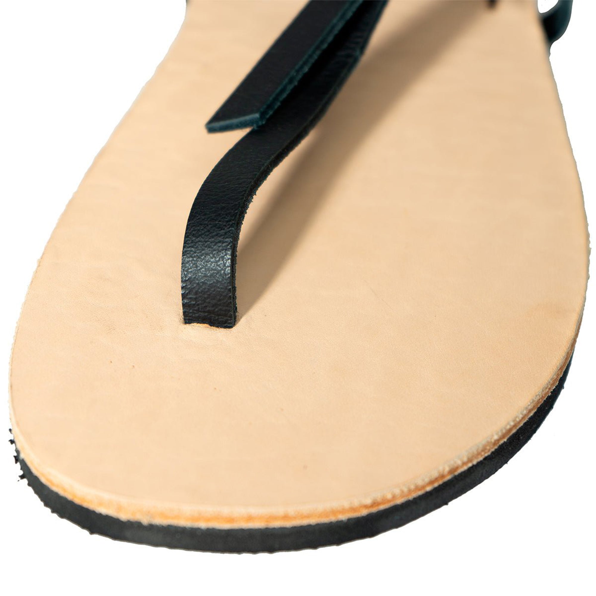 Luna Roots Builder Benard