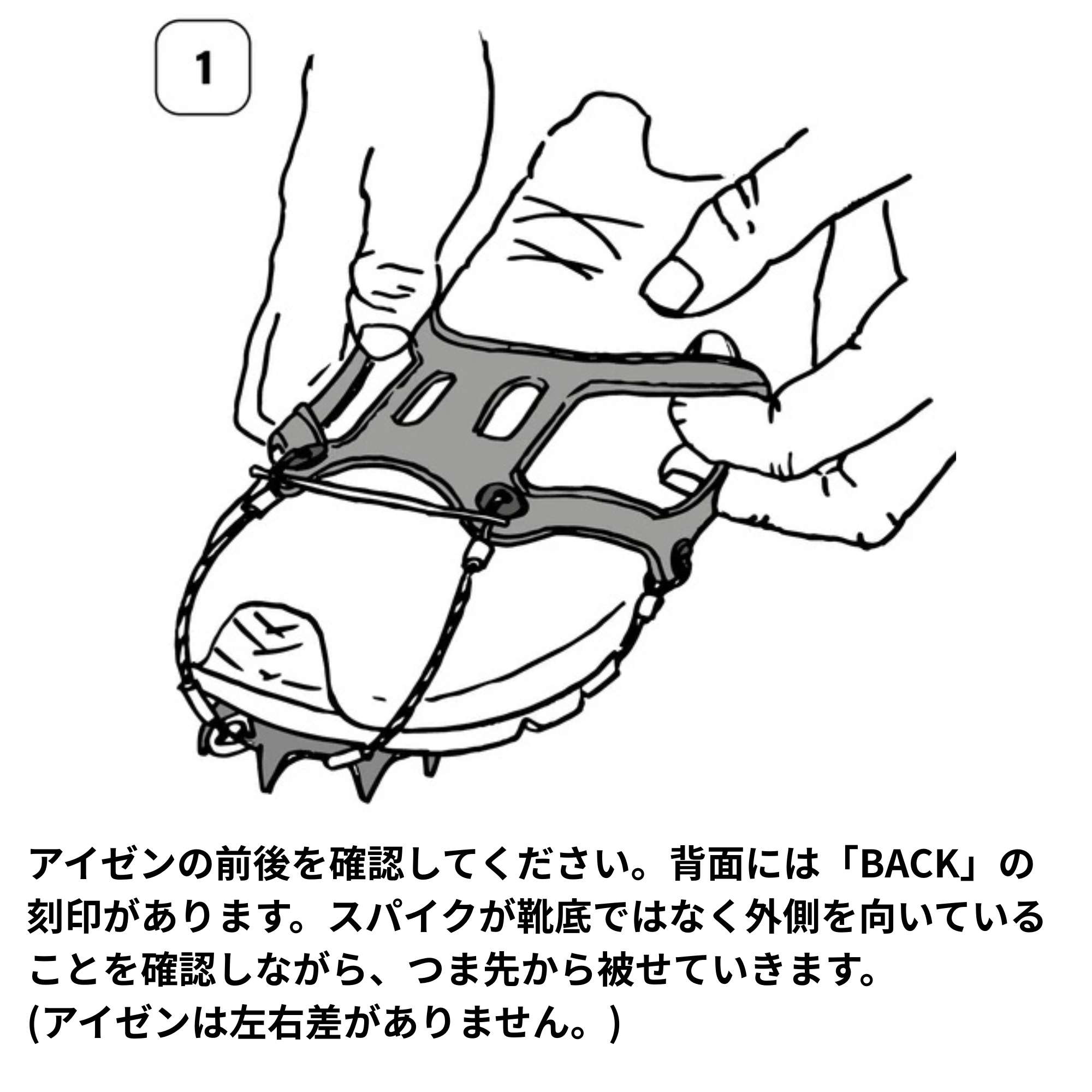 （M・Lサイズ）Fast