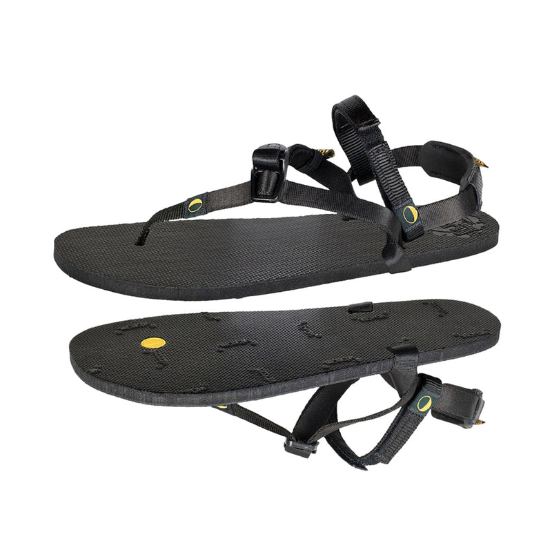 【再入荷時期未定】Venado 2.0