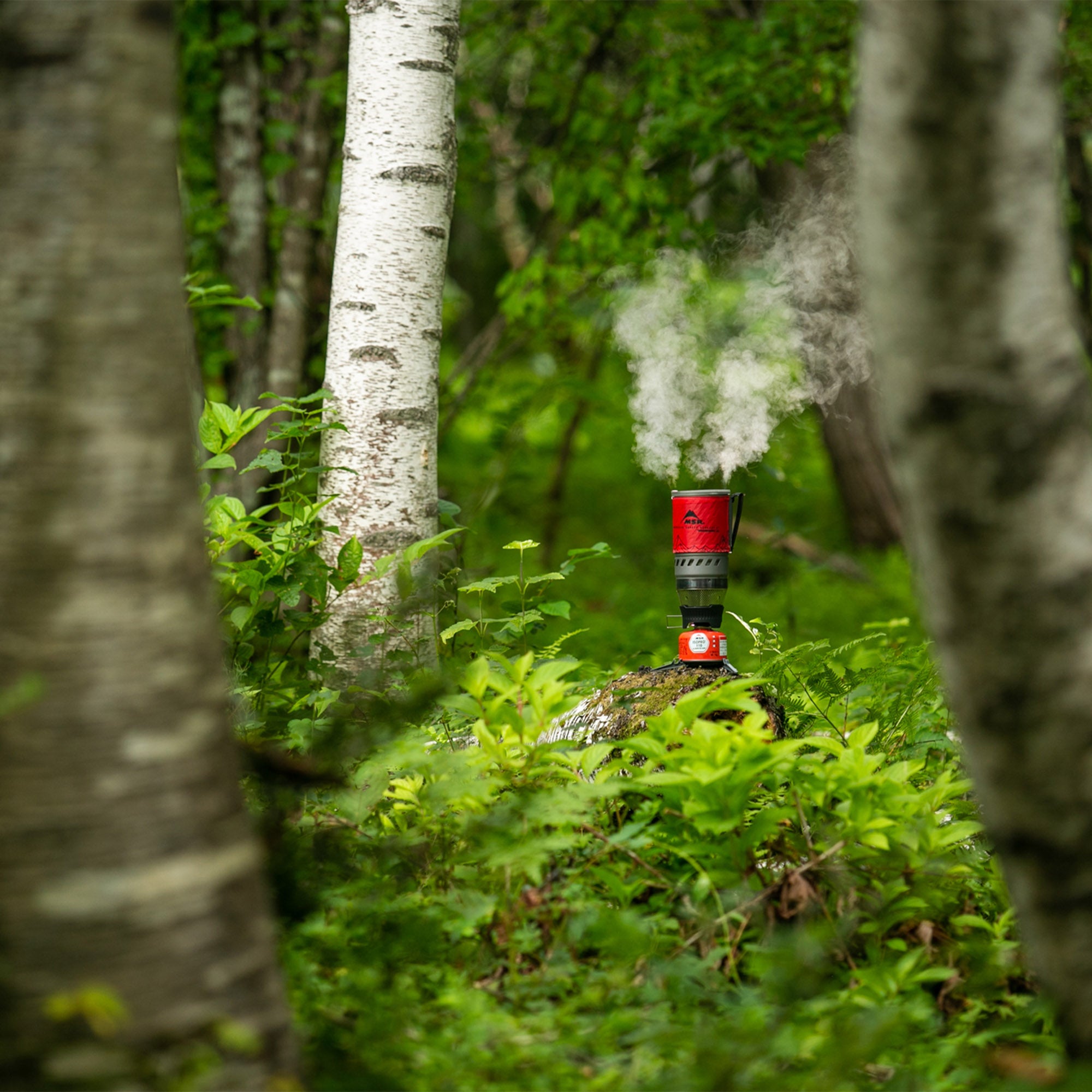 Wind Burner Personal Stove System