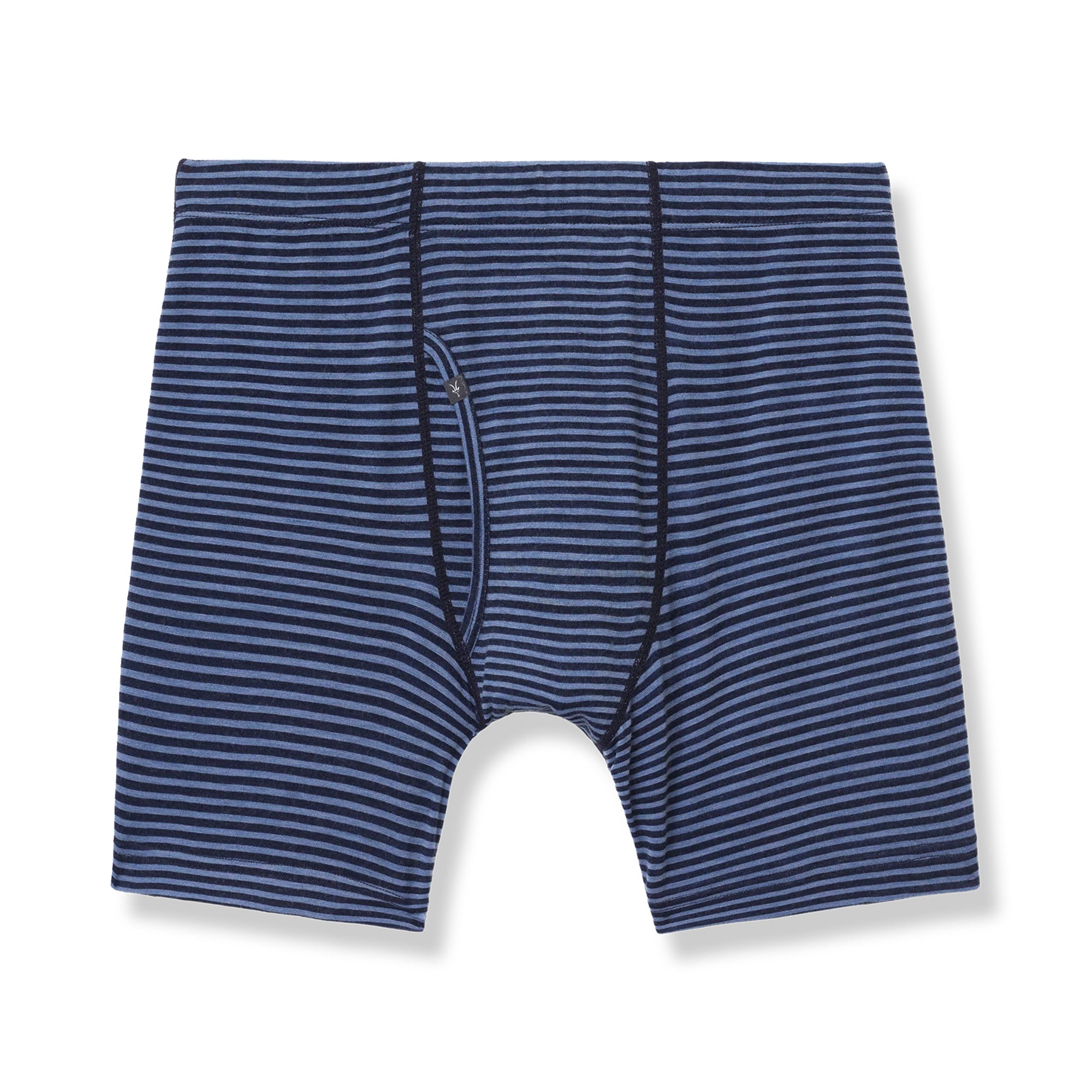 Woolley Protech Boxer Brief Men [IBEX IBEX]